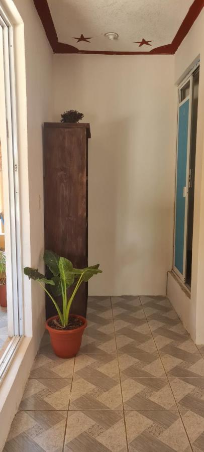 Hotel Casa Choco Mazunte Exteriér fotografie
